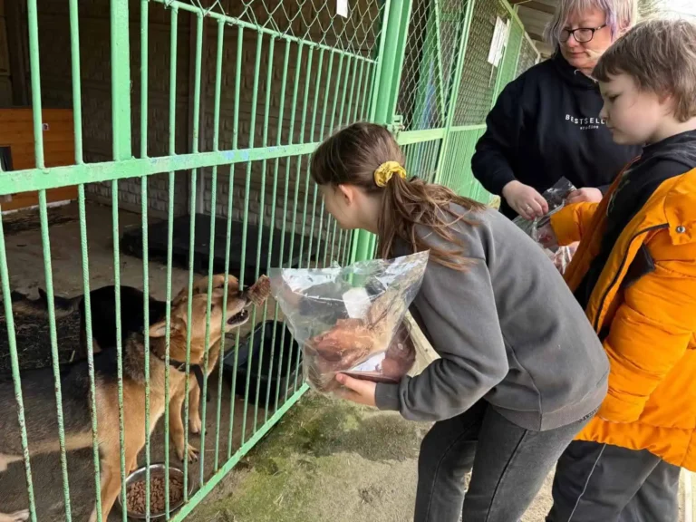 Przedwiośnie w&nbsp;Schronisku dla Bezdomnych Zwierząt w&nbsp;Sosnowicach