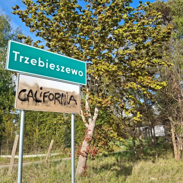 galeria Trzebieszewo 4