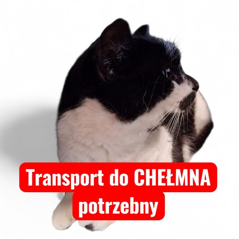 🆘 PILNE! Szymek szuka podwózki!