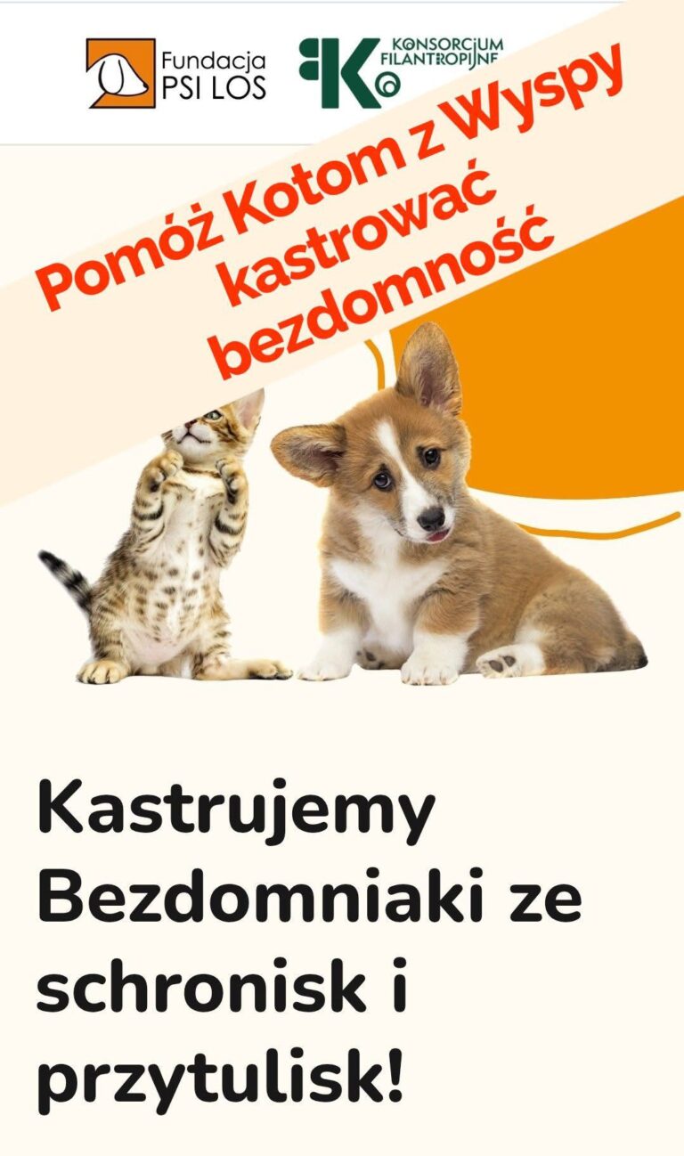„KOTY Z&nbsp;WYSPY” DOŁĄCZYŁY DO&nbsp;OGÓLNOPOLSKIEJ AKCJI „KASTRUJEMY BEZDOMNIAKI”. MOŻESZ POMÓC JUŻ OD&nbsp;10 ZŁOTYCH
