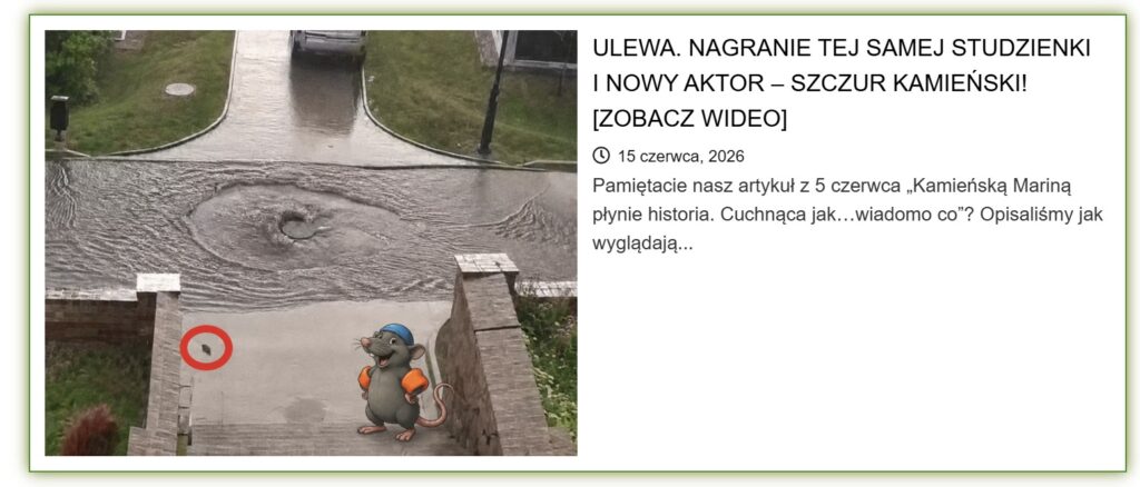 nowy aktor