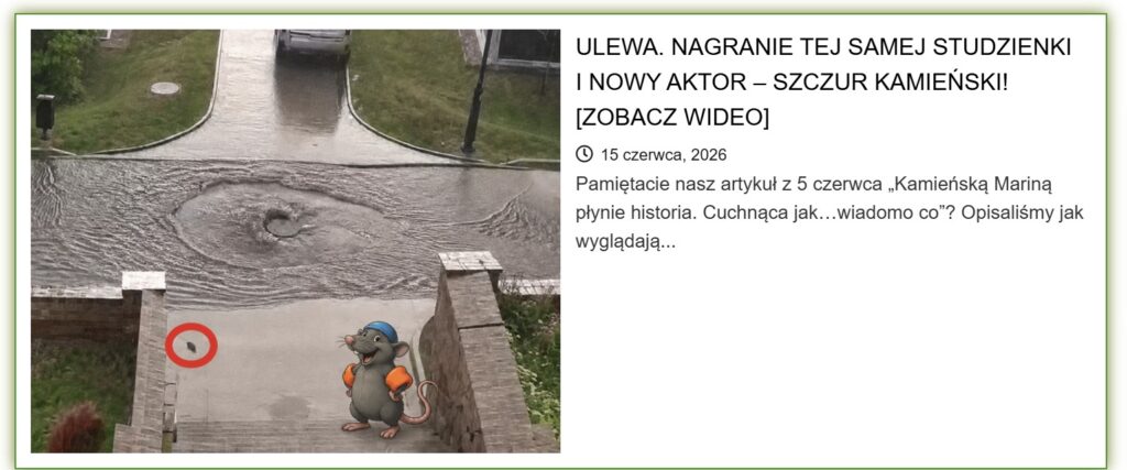 Cztery lata diagnozy, zero leczenia. Fekalia? „Maksymalnie kilka razy w roku” 2 15 6