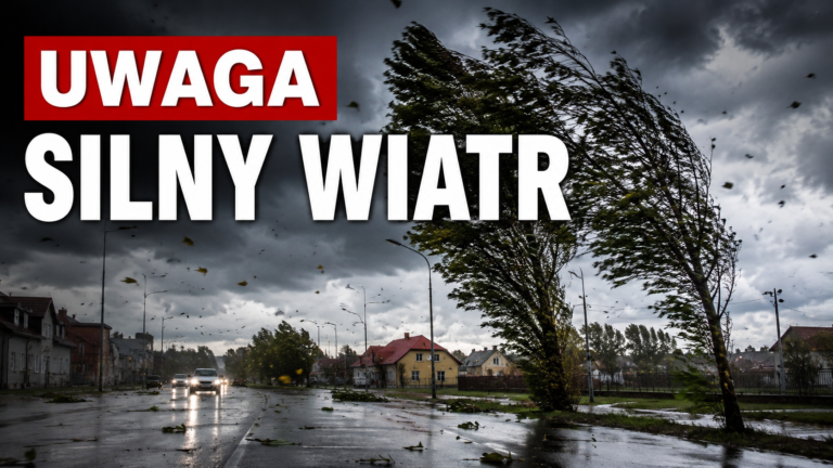 Silny wiatr uderzy w&nbsp;powiat kamieński. Najgorzej w&nbsp;piątek i&nbsp;w&nbsp;nocy