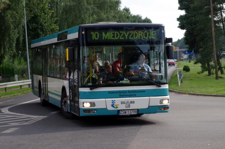 Linia nr&nbsp;10 wraca na&nbsp;stałą trasę