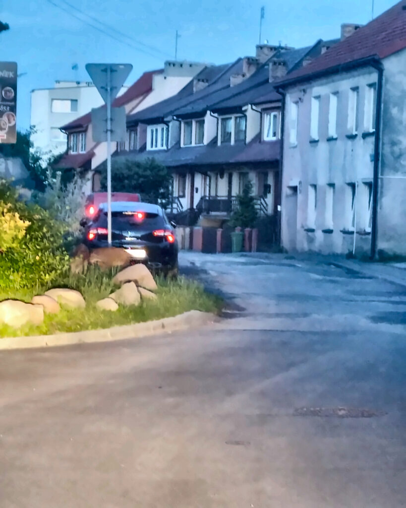 Dziki czują się jak u siebie. Uzdrowiskowa atrakcja, na którą nikt się nie umawiał 1 dzik kamien 03 4x5