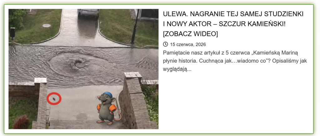 To nie jest deszczówka i to nie są „kilka razy w roku” 2 image 17