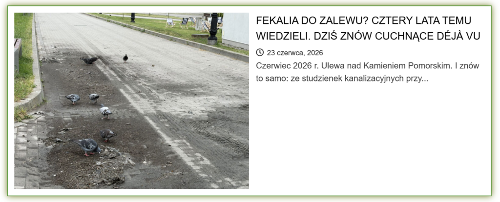 To nie jest deszczówka i to nie są „kilka razy w roku” 3 image 18