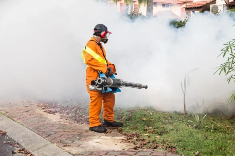 Nowy termin odkomarzania w&nbsp;gminie Międzyzdroje
