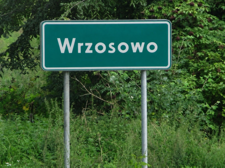 84 domy jednorodzinne we&nbsp;Wrzosowie. Burmistrz wszczyna postępowanie środowiskowe