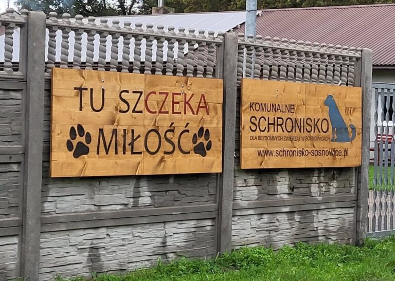 Weekend pełen spacerów i&nbsp;atrakcji w&nbsp;schronisku w&nbsp;Sosnowicach