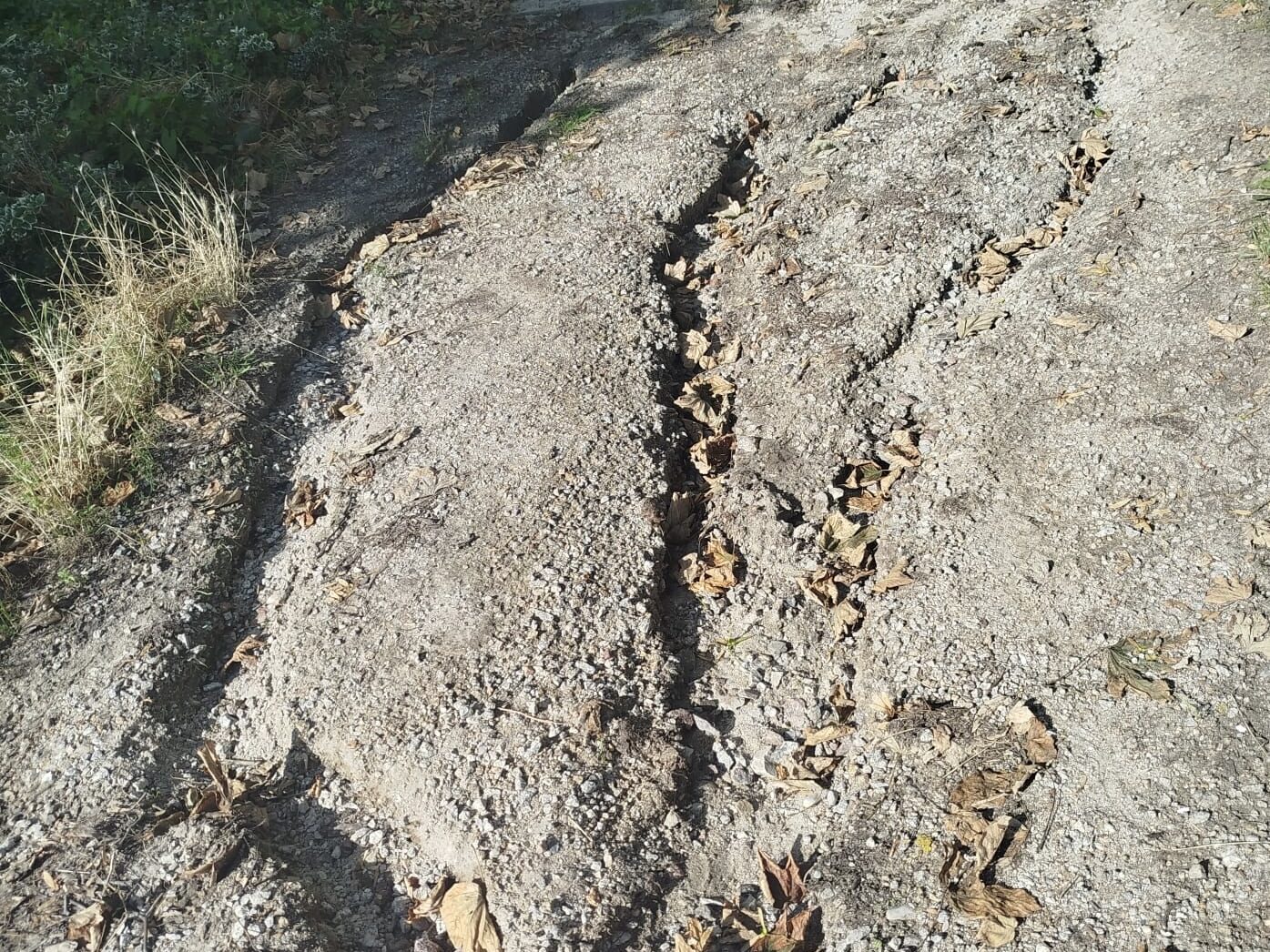 Park Jana Pawła II. To nie tylko problem z zaniedbaną zielenią. 3 5dd350b9 4919 4f16 9835 17dea150e506 edited