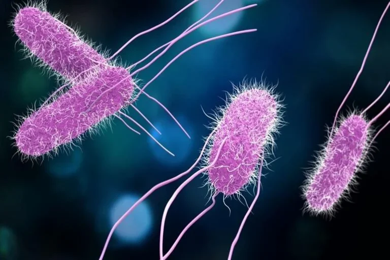 Salmonella potwierdzona u&nbsp;15 osób po&nbsp;zatruciu w&nbsp;Międzywodziu. Są&nbsp;też rotawirusy