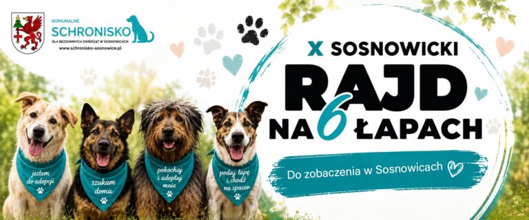 Ruszają przygotowania do&nbsp;jubileuszowego Rajdu na&nbsp;6 Łapach w&nbsp;Sosnowicach