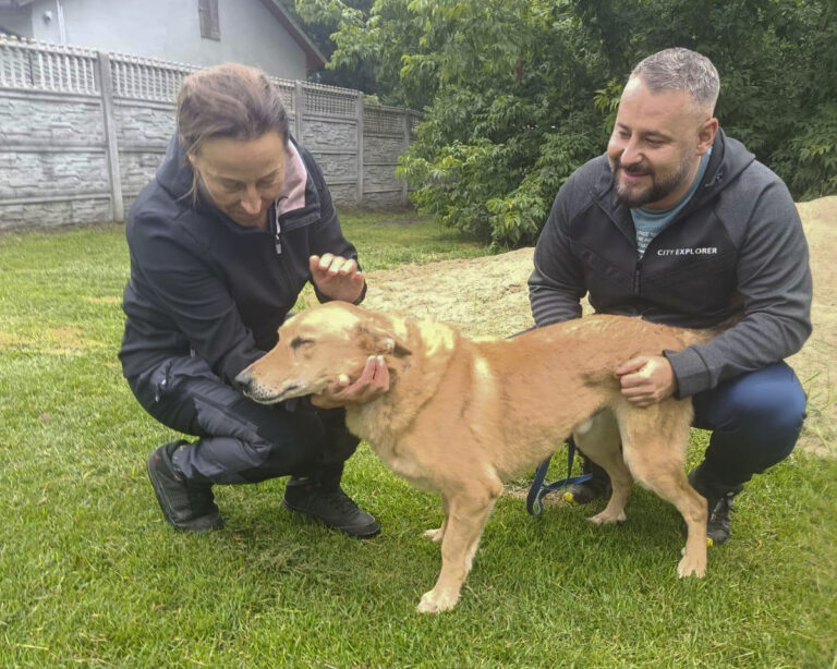 Po&nbsp;dziewięciu latach za&nbsp;kratami Pirat znalazł dom. Wzruszająca adopcja w&nbsp;Sosnowicach