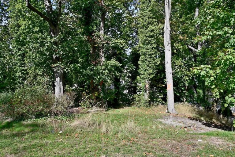 Rusza przebudowa Wzgórza Muz w&nbsp;Międzyzdrojach