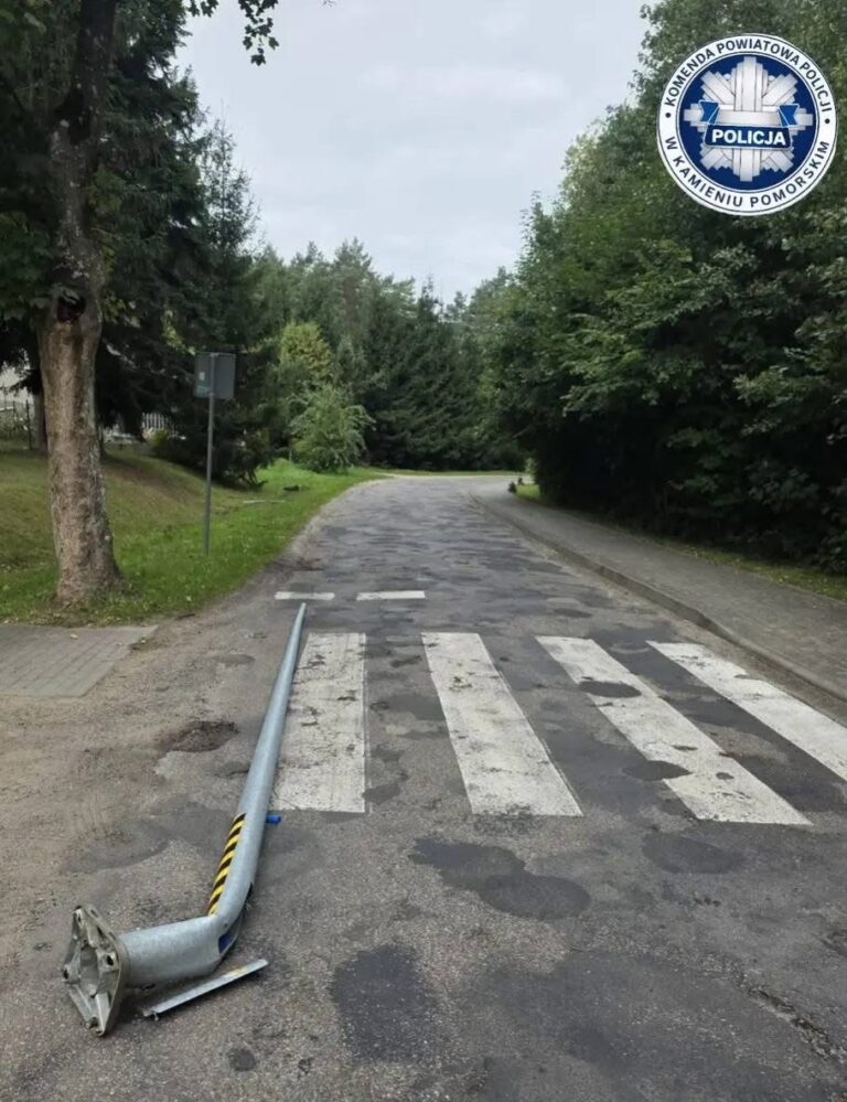 Nietrzeźwy kierowca z&nbsp;dwoma dożywotnimi zakazami. Sąd zastosował dwa miesiące aresztu