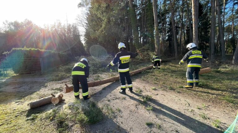 Kalendarze OSP Stuchowo na&nbsp;2027 rok już dostępne