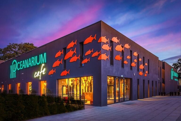 Restauracja w&nbsp;Oceanarium Międzyzdroje z&nbsp;I&nbsp;miejscem w&nbsp;plebiscycie Mistrzowie Smaku 2026