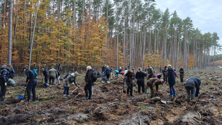 Wspólne sadzenie lasu w&nbsp;Międzyzdrojach. Ruszyła akcja w&nbsp;ramach projektu SB&nbsp;MANTA